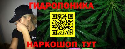 крисы Заводоуковск