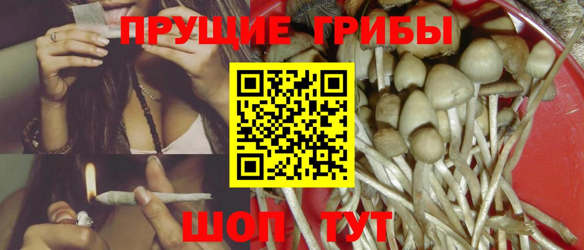 Галлюциногенные грибы MAGIC MUSHROOMS  Вход с VPN  Галлюциногенные грибы мицелий  продажа наркотиков  Луга 